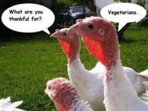 turkeys, thankful, joy, vegan, vegetarian, veg*n, Thanksgiving