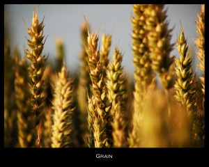 Whole grains