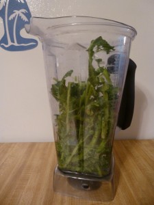 Kale stalks for kale soup